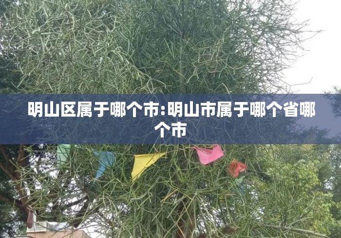 明山区属于哪个市:明山市属于哪个省哪个市