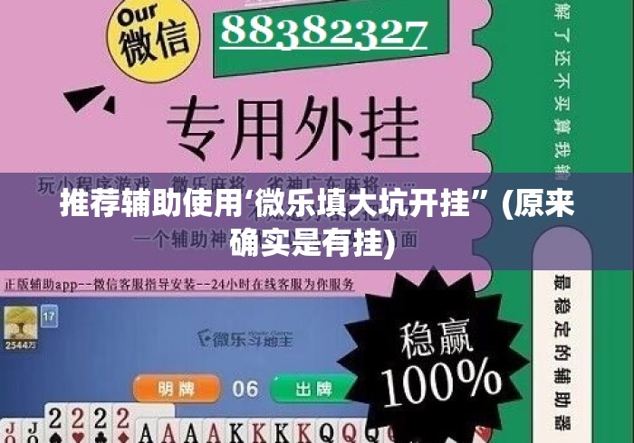 推荐辅助使用‘微乐填大坑开挂”(原来确实是有挂) 