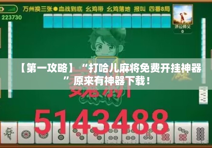【第一攻略】“打哈儿麻将免费开挂神器”原来有神器下载！