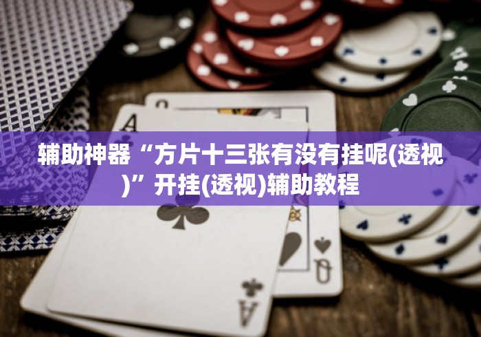 辅助神器“方片十三张有没有挂呢(透视)	”开挂(透视)辅助教程