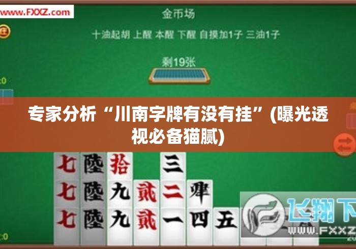 专家分析“川南字牌有没有挂	”(曝光透视必备猫腻)