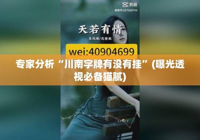 专家分析“川南字牌有没有挂”(曝光透视必备猫腻)