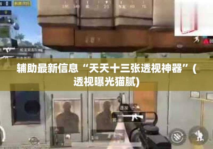 辅助最新信息“天天十三张透视神器”(透视曝光猫腻)