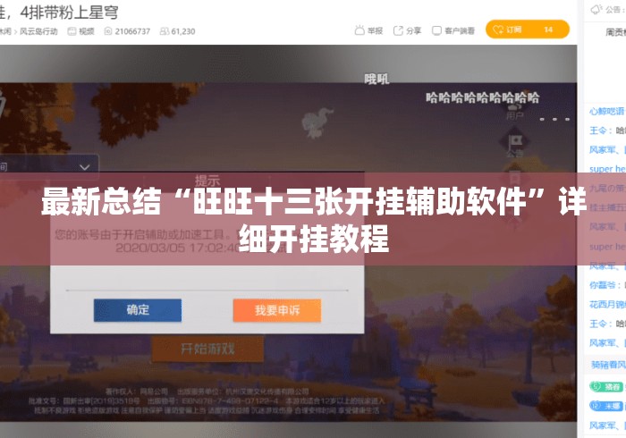最新总结“旺旺十三张开挂辅助软件”详细开挂教程