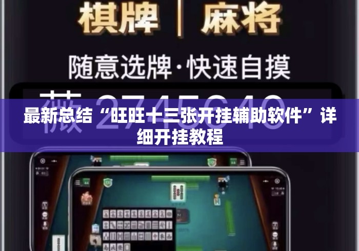 最新总结“旺旺十三张开挂辅助软件”详细开挂教程