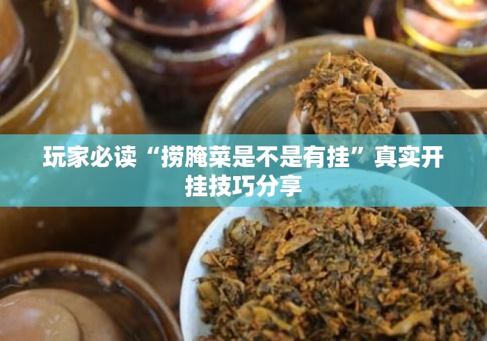 玩家必读“捞腌菜是不是有挂”真实开挂技巧分享