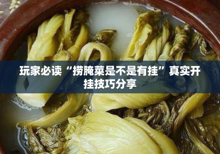 玩家必读“捞腌菜是不是有挂	”真实开挂技巧分享