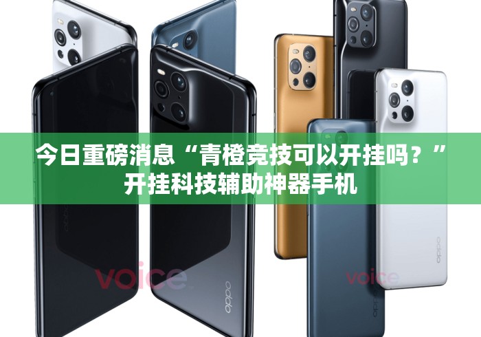今日重磅消息“青橙竞技可以开挂吗？”开挂科技辅助神器手机