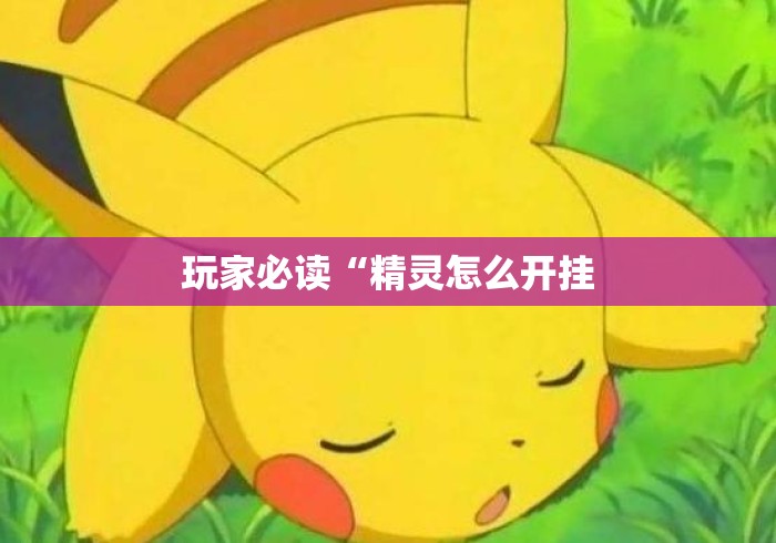 玩家必读“精灵怎么开挂