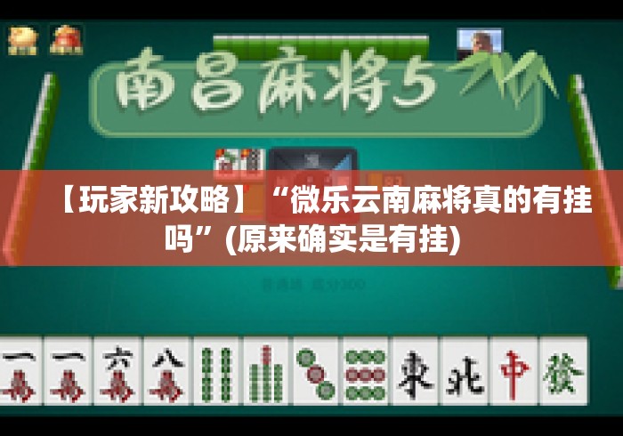 【玩家新攻略】“微乐云南麻将真的有挂吗”(原来确实是有挂)