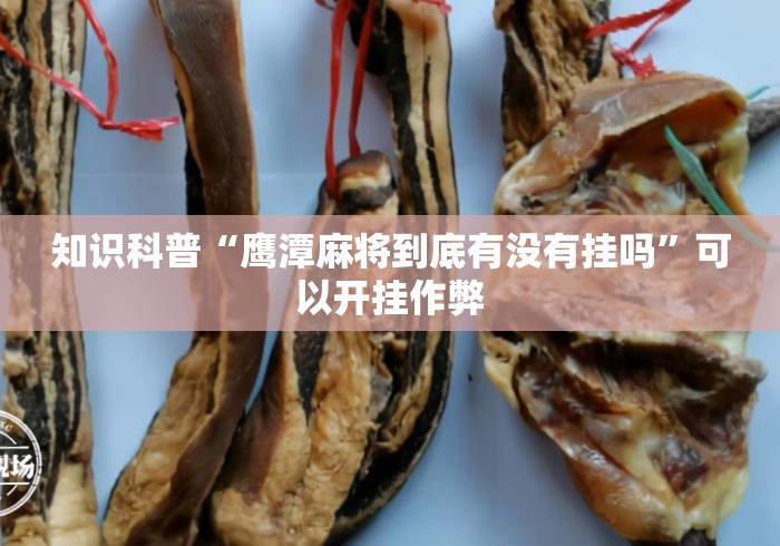 知识科普“鹰潭麻将到底有没有挂吗”可以开挂作弊