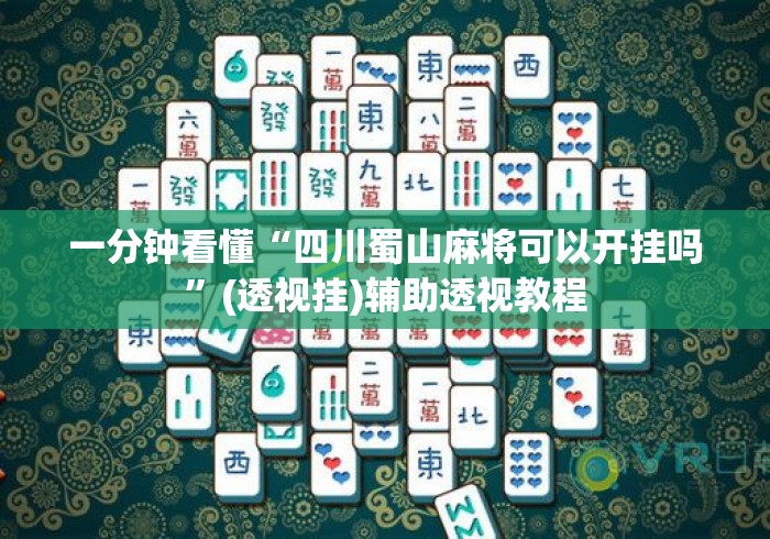 一分钟看懂“四川蜀山麻将可以开挂吗”(透视挂)辅助透视教程