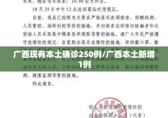 广西现有本土确诊250例/广西本土新增1例 广西现有本土确诊250例/广西本土新增1例