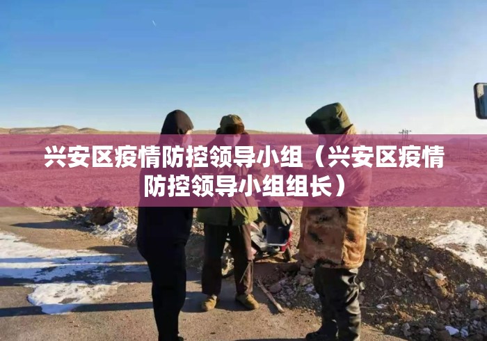 兴安区疫情防控领导小组（兴安区疫情防控领导小组组长）