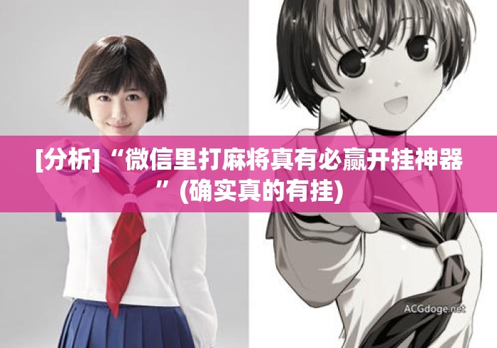 [分析]“微信里打麻将真有必赢开挂神器	”(确实真的有挂)