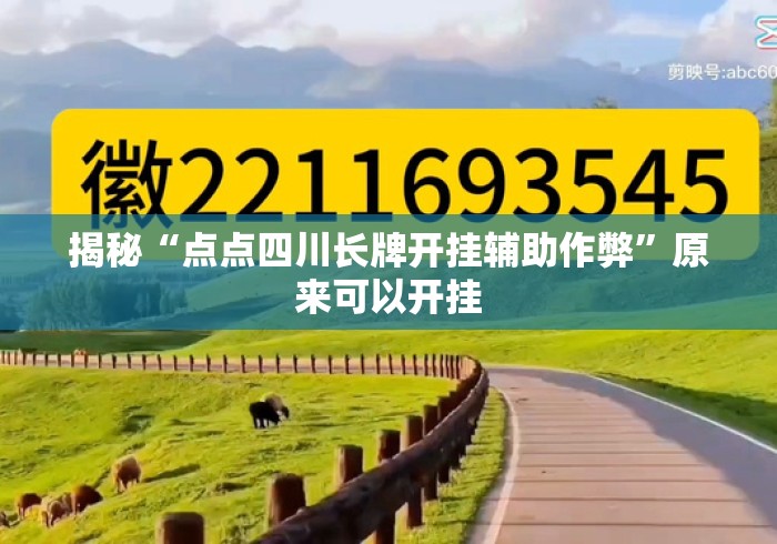 揭秘“点点四川长牌开挂辅助作弊”原来可以开挂