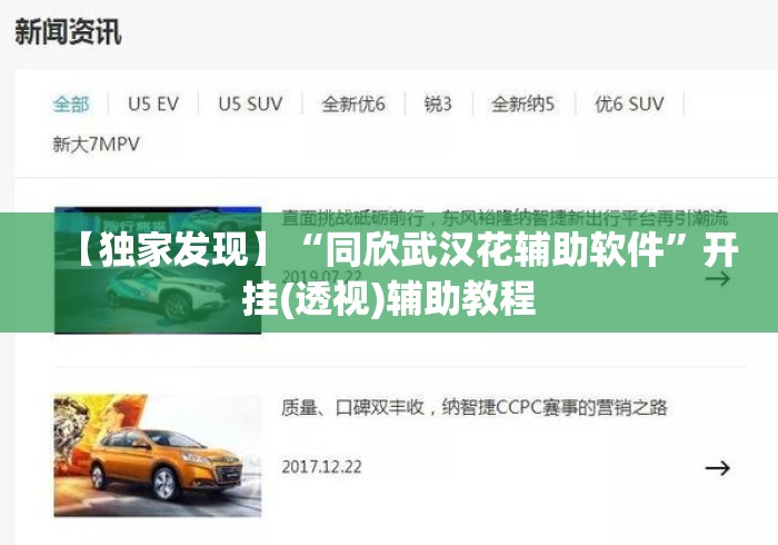 【独家发现】“同欣武汉花辅助软件”开挂(透视)辅助教程