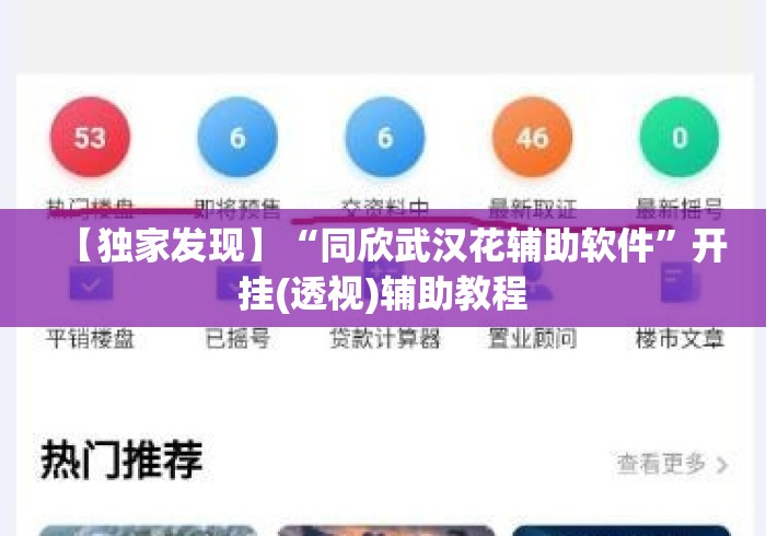 【独家发现】“同欣武汉花辅助软件	”开挂(透视)辅助教程