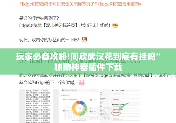 玩家必备攻略!同欣武汉花到底有挂吗”辅助神器插件下载