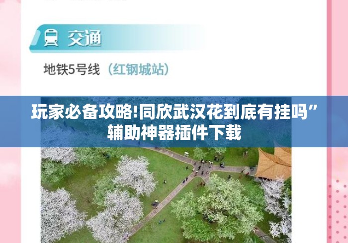 玩家必备攻略!同欣武汉花到底有挂吗”辅助神器插件下载