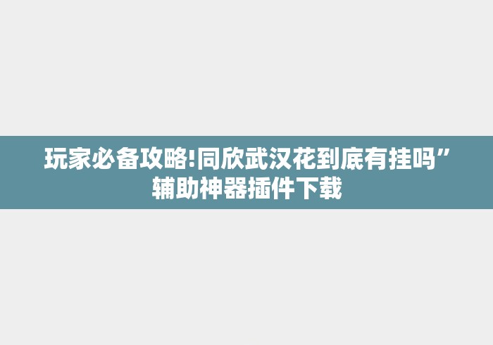 玩家必备攻略!同欣武汉花到底有挂吗	”辅助神器插件下载