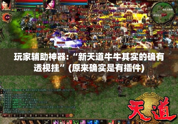 玩家辅助神器:“新天道牛牛其实的确有透视挂	”(原来确实是有插件)