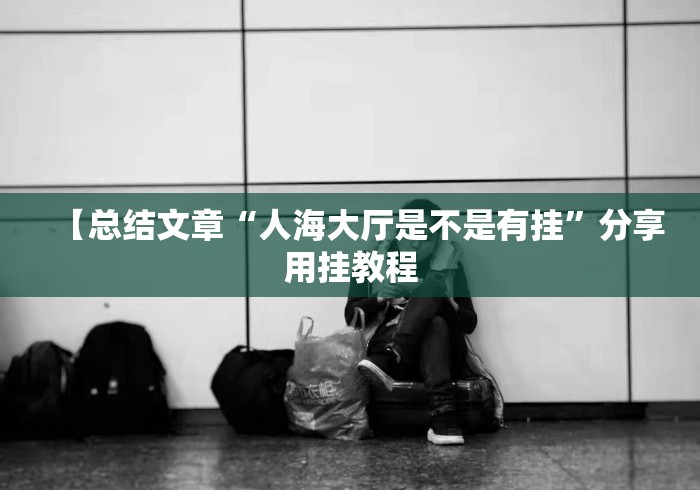 【总结文章“人海大厅是不是有挂”分享用挂教程