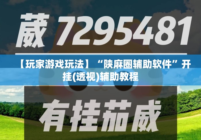 【玩家游戏玩法】“陕麻圈辅助软件”开挂(透视)辅助教程