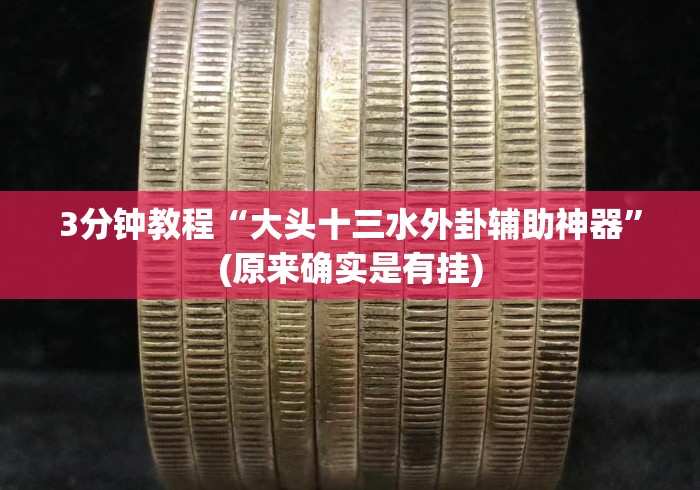 3分钟教程“大头十三水外卦辅助神器”(原来确实是有挂)
