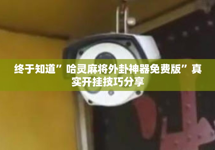 终于知道”哈灵麻将外卦神器免费版”真实开挂技巧分享
