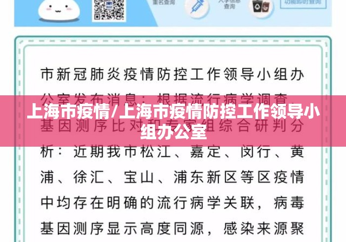 上海市疫情/上海市疫情防控工作领导小组办公室 上海市疫情/上海市疫情防控工作领导小组办公室