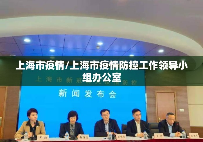 上海市疫情/上海市疫情防控工作领导小组办公室 上海市疫情/上海市疫情防控工作领导小组办公室