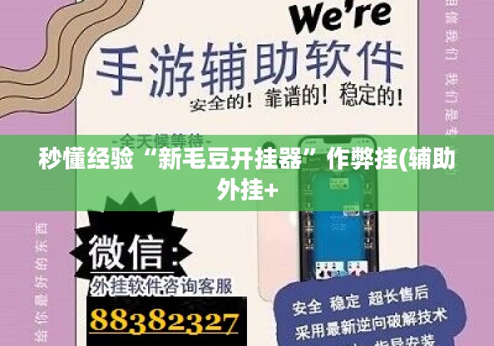 秒懂经验“新毛豆开挂器”作弊挂(辅助外挂+
