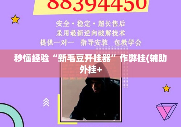 秒懂经验“新毛豆开挂器	”作弊挂(辅助外挂+