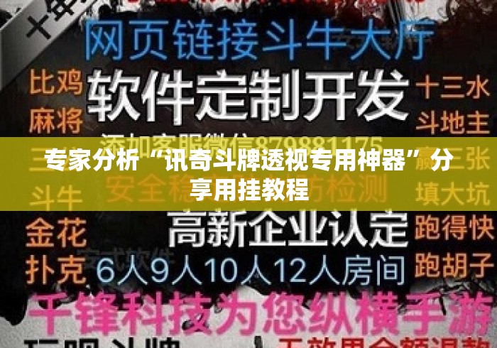 专家分析“讯奇斗牌透视专用神器”分享用挂教程
