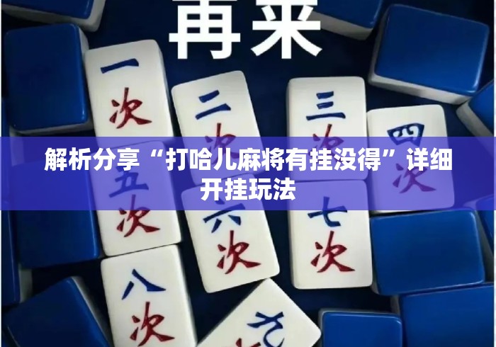 解析分享“打哈儿麻将有挂没得	”详细开挂玩法