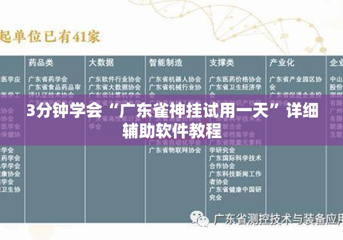 3分钟学会“广东雀神挂试用一天”详细辅助软件教程