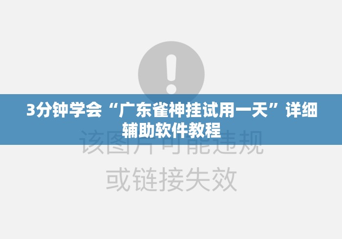 3分钟学会“广东雀神挂试用一天”详细辅助软件教程