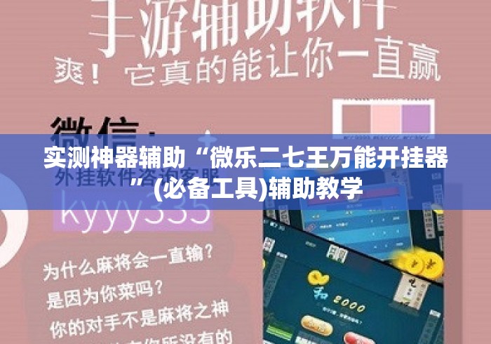 实测神器辅助“微乐二七王万能开挂器”(必备工具)辅助教学