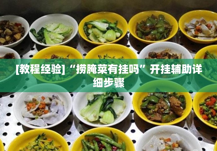 [教程经验]“捞腌菜有挂吗”开挂辅助详细步骤
