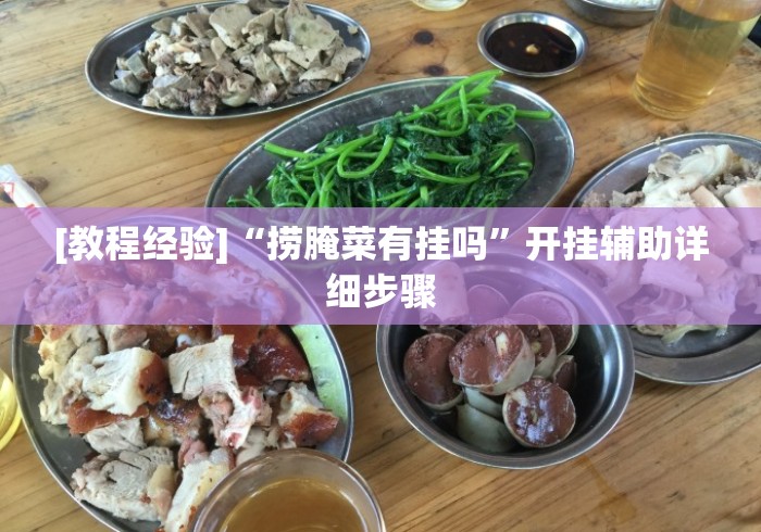 [教程经验]“捞腌菜有挂吗”开挂辅助详细步骤