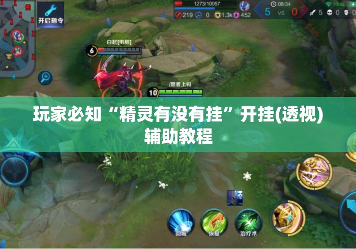 玩家必知“精灵有没有挂”开挂(透视)辅助教程