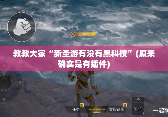 教教大家“新圣游有没有黑科技	”(原来确实是有插件)