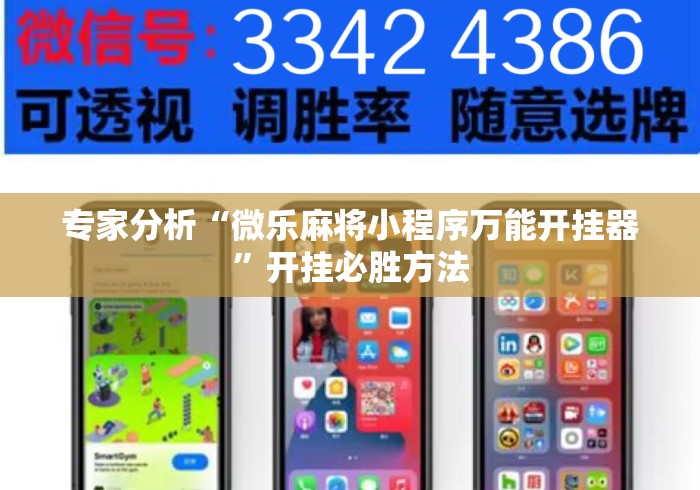 专家分析“微乐麻将小程序万能开挂器”开挂必胜方法