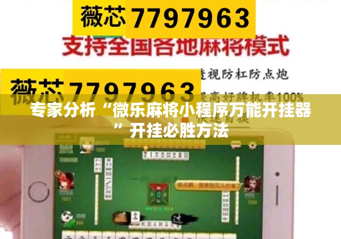 专家分析“微乐麻将小程序万能开挂器”开挂必胜方法