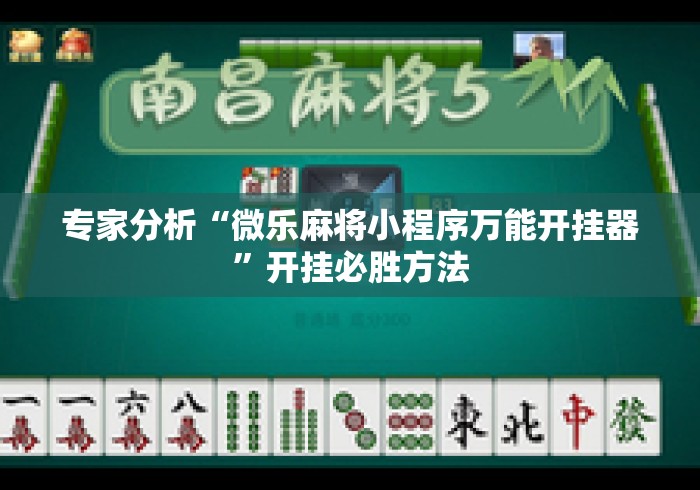 专家分析“微乐麻将小程序万能开挂器”开挂必胜方法