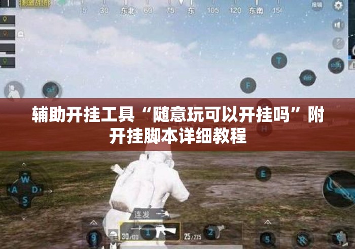 辅助开挂工具“随意玩可以开挂吗”附开挂脚本详细教程
