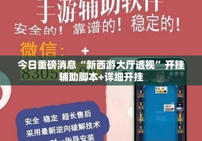 今日重磅消息“新西游大厅透视”开挂辅助脚本+详细开挂