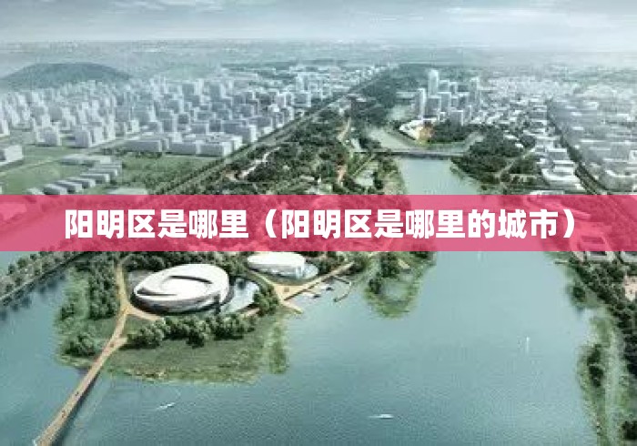 阳明区是哪里（阳明区是哪里的城市）