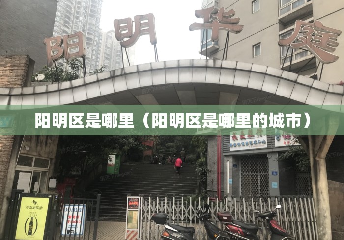 阳明区是哪里（阳明区是哪里的城市）